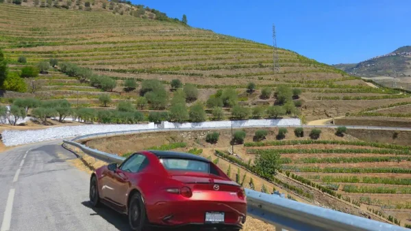 Portugal & Spain